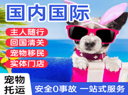 伊尔施机场物流国际宠物托运 【国